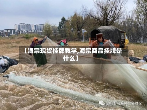 【海宗现货挂牌教学,海宗商品挂牌是什么】