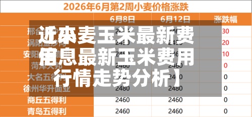近来
【小麦玉米最新费用
信息最新玉米费用
行情走势分析】