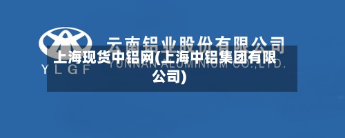 上海现货中铝网(上海中铝集团有限公司)-第3张图片