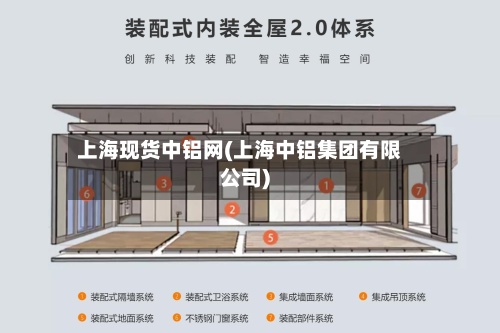 上海现货中铝网(上海中铝集团有限公司)
