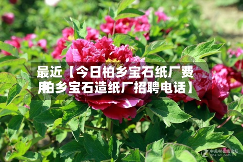 最近【今日柏乡宝石纸厂费用
,柏乡宝石造纸厂招聘电话】