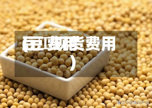 豆栢费用
(豆粨现货费用
)-第2张图片