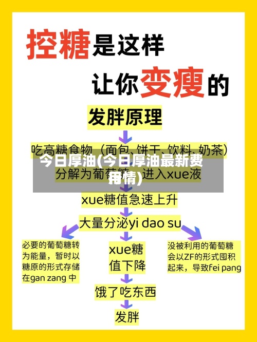 今日厚油(今日厚油最新费用
行情)-第2张图片