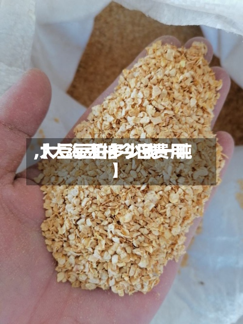 【大海豆柏今日费用
,大豆豆柏多少钱一吨】