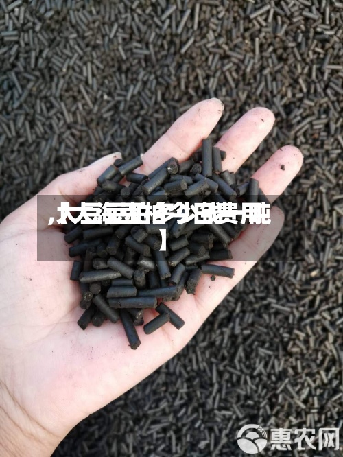 【大海豆柏今日费用
,大豆豆柏多少钱一吨】-第3张图片