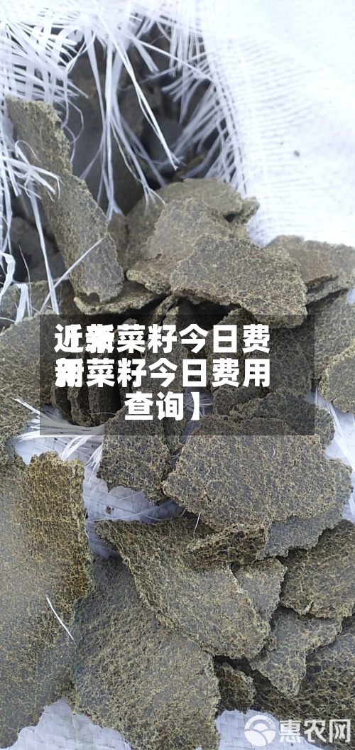 近来
【新菜籽今日费用
新菜籽今日费用
查询】-第2张图片