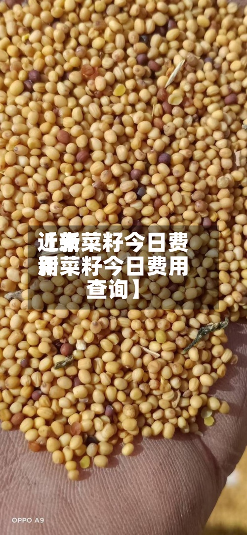 近来
【新菜籽今日费用
新菜籽今日费用
查询】