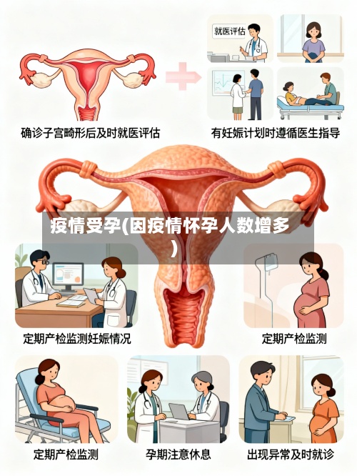 疫情受孕(因疫情怀孕人数增多)
