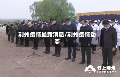 荆州疫情最新消息/荆州疫情动态