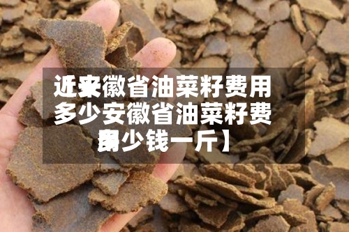 近来
【安徽省油菜籽费用
多少安徽省油菜籽费用
多少钱一斤】