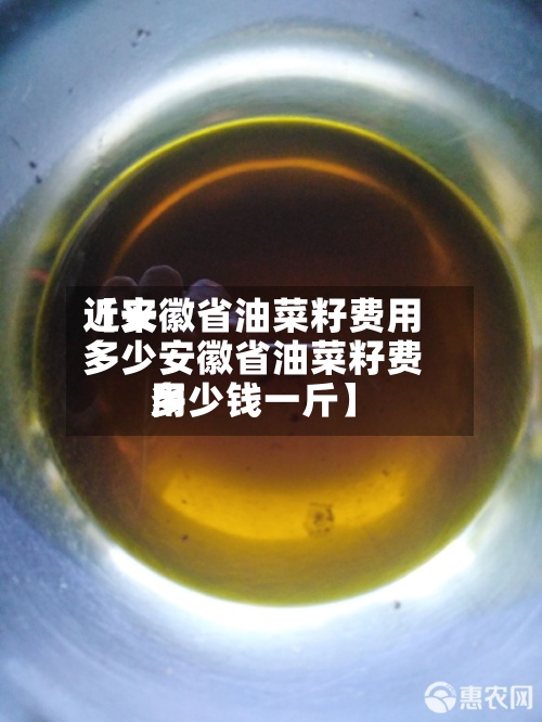 近来
【安徽省油菜籽费用
多少安徽省油菜籽费用
多少钱一斤】-第2张图片