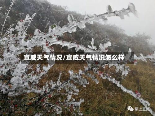 宣威天气情况/宣威天气情况怎么样-第3张图片