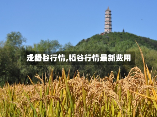 【稻谷行情,稻谷行情最新费用
走势】