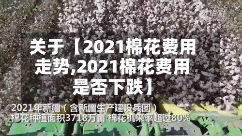 关于【2021棉花费用
走势,2021棉花费用
是否下跌】-第3张图片