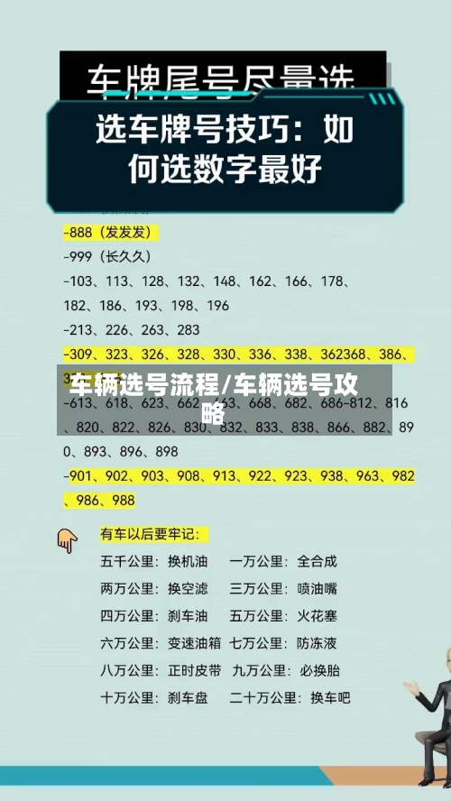 车辆选号流程/车辆选号攻略-第2张图片