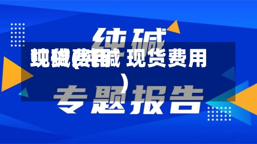 纯碱费用现货(纯碱 现货费用)