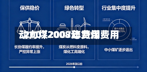 动力煤2007年费用
/20072008动力煤费用
-第2张图片