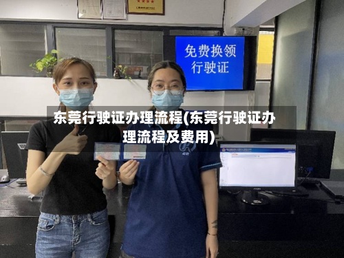 东莞行驶证办理流程(东莞行驶证办理流程及费用)