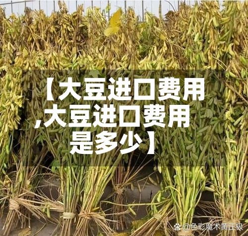 【大豆进口费用
,大豆进口费用
是多少】