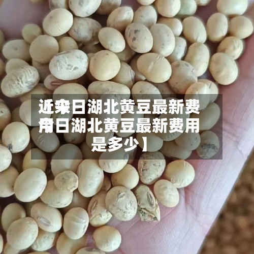 近来
【今日湖北黄豆最新费用
今日湖北黄豆最新费用
是多少】-第2张图片