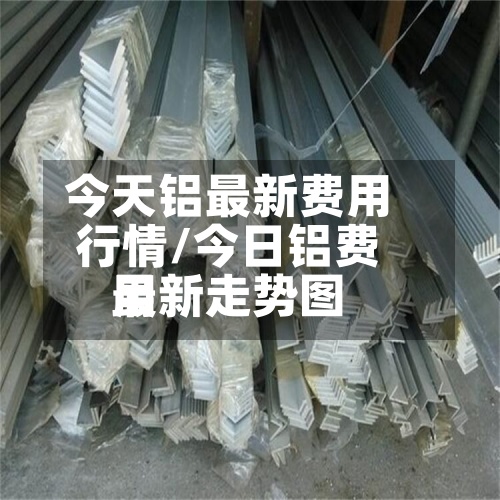 今天铝最新费用
行情/今日铝费用
最新走势图-第2张图片