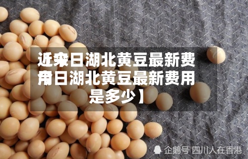 近来【今日湖北黄豆最新费用今日湖北黄豆最新费用是多少】