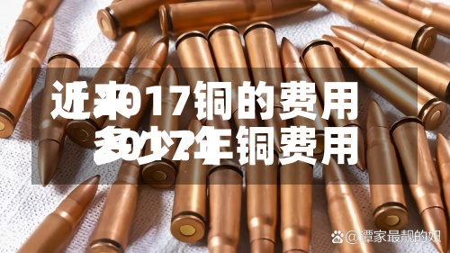 近来
【2017铜的费用
2017年铜费用
多少?】