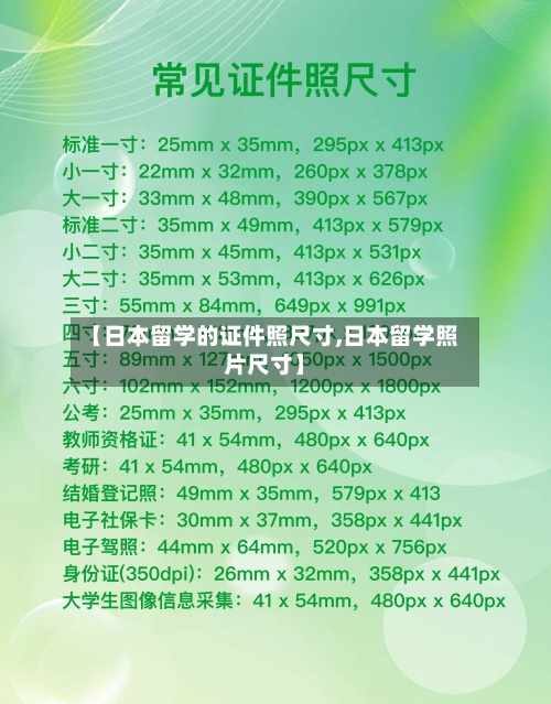 【日本留学的证件照尺寸,日本留学照片尺寸】-第3张图片