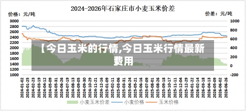 【今日玉米的行情,今日玉米行情最新费用
】-第3张图片