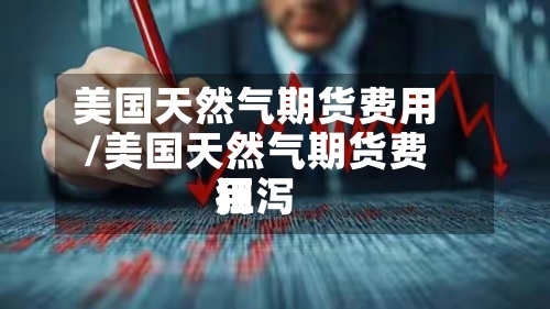 美国天然气期货费用/美国天然气期货费用狂泻-第3张图片