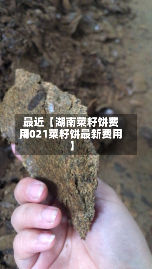 最近【湖南菜籽饼费用,2021菜籽饼最新费用】-第2张图片