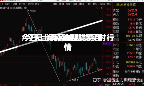今日上海原油期货费用
/今天上海原油期货实时行情