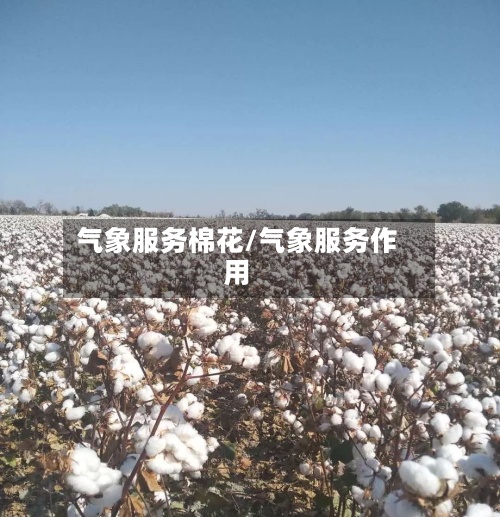 气象服务棉花/气象服务作用-第2张图片