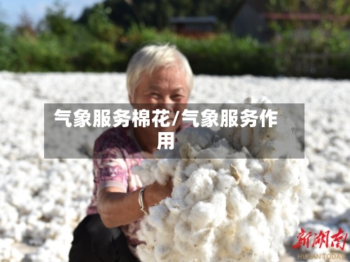 气象服务棉花/气象服务作用