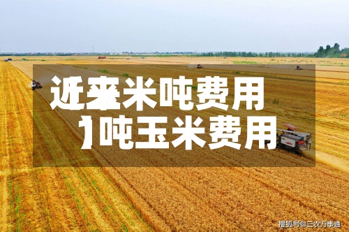 近来
【玉米吨费用
1吨玉米费用
】