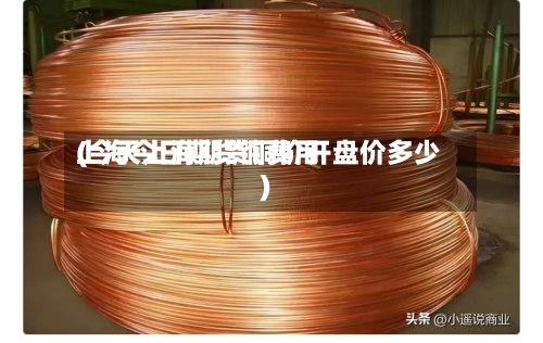 上海今日期货铜费用
(今天上海期货铜价开盘价多少)-第2张图片