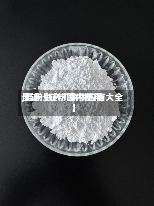 最近【硅粉国内费用,硅粉生产厂家供应商大全】-第2张图片