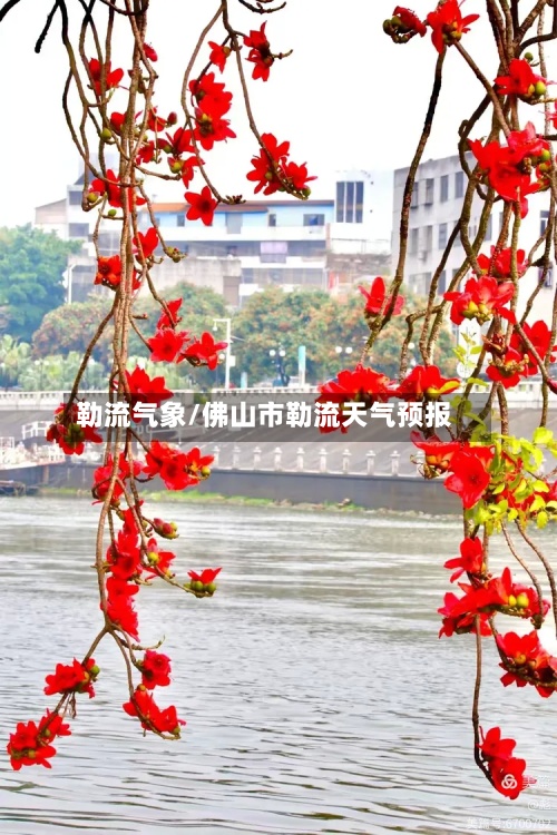 勒流气象/佛山市勒流天气预报