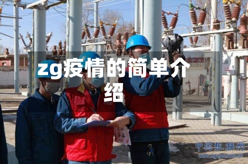 zg疫情的简单介绍-第3张图片