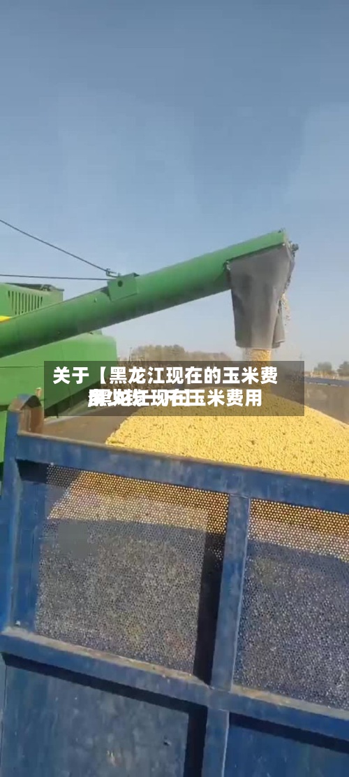 关于【黑龙江现在的玉米费用,黑龙江现在玉米费用多少钱一斤】