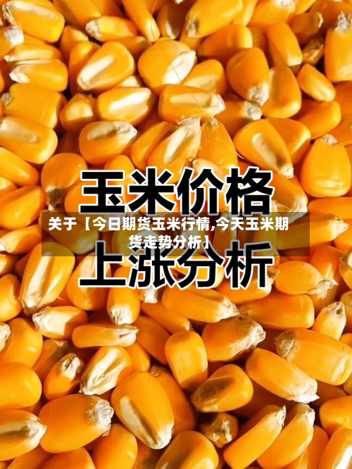 关于【今日期货玉米行情,今天玉米期货走势分析】-第2张图片
