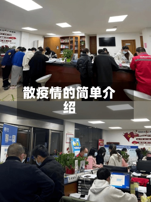 散疫情的简单介绍-第2张图片