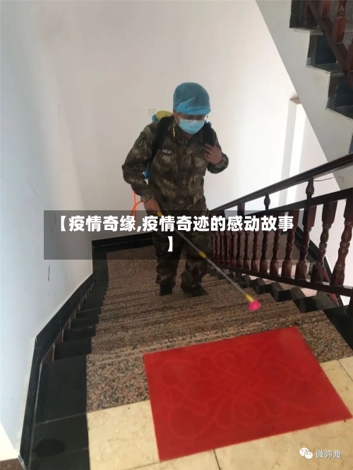 【疫情奇缘,疫情奇迹的感动故事】