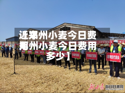 近来
【郑州小麦今日费用
郑州小麦今日费用
多少】-第3张图片