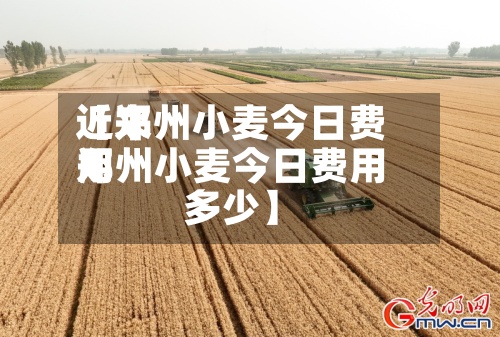 近来【郑州小麦今日费用郑州小麦今日费用多少】