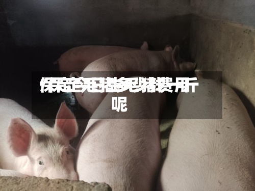 保定今日生毛猪费用/保定毛猪多少钱一斤呢