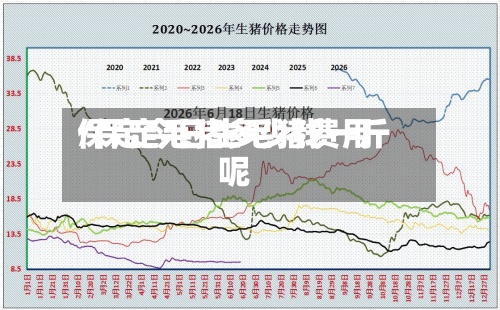 保定今日生毛猪费用
/保定毛猪多少钱一斤呢-第3张图片