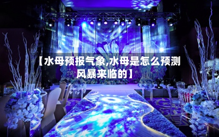 【水母预报气象,水母是怎么预测风暴来临的】-第2张图片