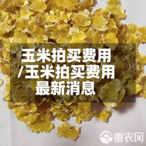 玉米拍买费用/玉米拍买费用最新消息
