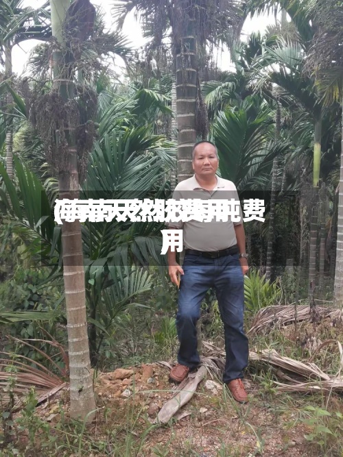 海南天然胶费用
(海南天然胶每吨费用
)